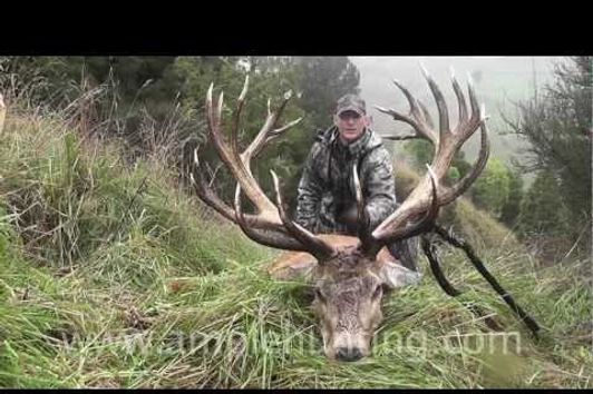 Hunting New Zealand - Ample Hunting highlights