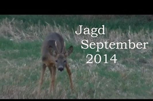 Jagd September 2014