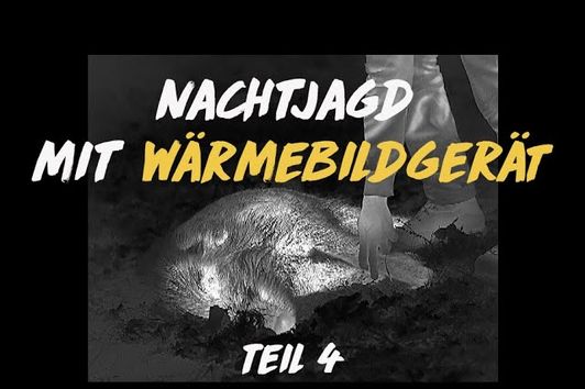 Nachtschicht: Jagd mit der Wärmebildkamera #4