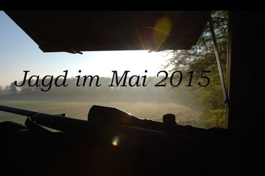 Jagd Mai 2015