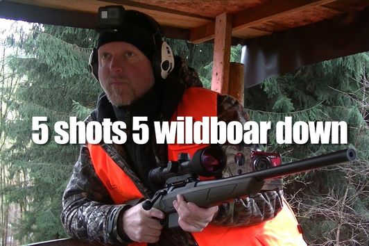 Epic shooting! 5 shots 5 wild boars down in a few seconds.