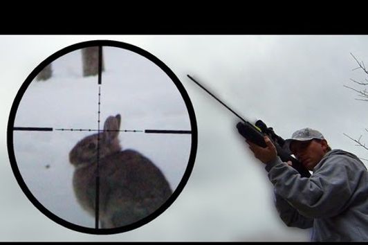 Arrow Gun Rabbit Hunt with FX Verminator and G5 Small Game Head (SGH)