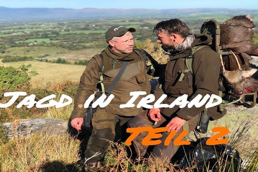 Jagd in Irland Teil 2