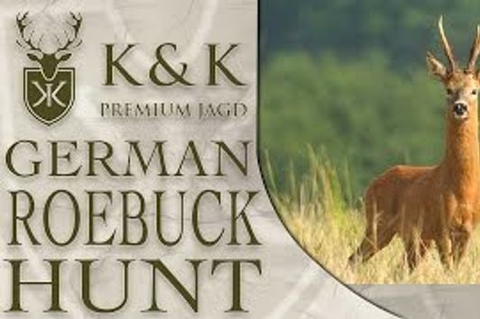 Germany Roebuck Hunting Season!