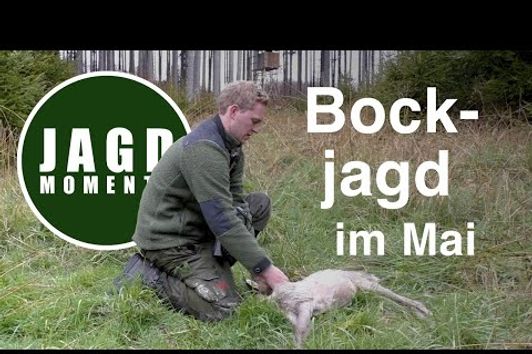 JagdMomente | Folge 2 | Bockjagd im Mai