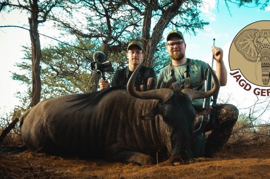 Jagd im südwestlichen Teil Afrikas | Jagdreise in Namibia auf Warzenschwein und Streifengnu