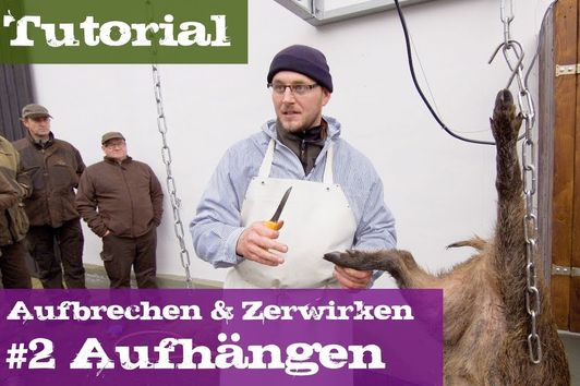 #2 Aufhängen - Lehrgang Aufbrechen & Zerwirken