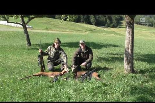 Sommerjagd auf Waldgams / Hunting Black Forest Chamois