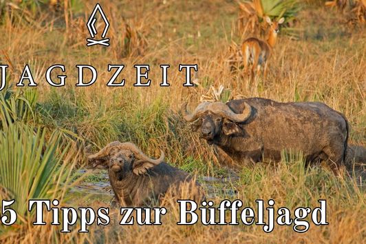 Jagdzeit - 5 Tipps zur ersten Büffeljagd in Afrika