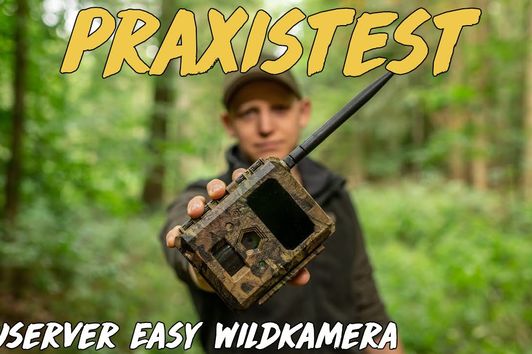 Praxistest - ICU Easy Wildkamera