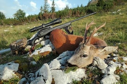 Die Bockjagd-  drunten im Tal und droben auf'm Berg!  Roebuck Rut 2017