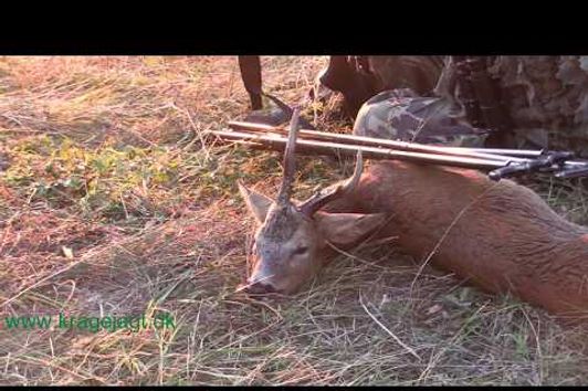 Bukkejagt 13-08-2017 / Roebuck stalking / Chasse au brocard / caza de corzo