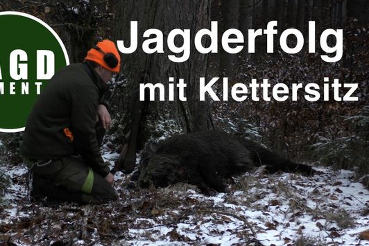 JagdMomente | Folge 11 | Jagd auf Sau und Reh mit dem Klettersitz |  JagenNRW live