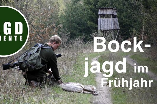 JagdMomente | Folge 8 | Jagd auf Rehwild im Frühjahr