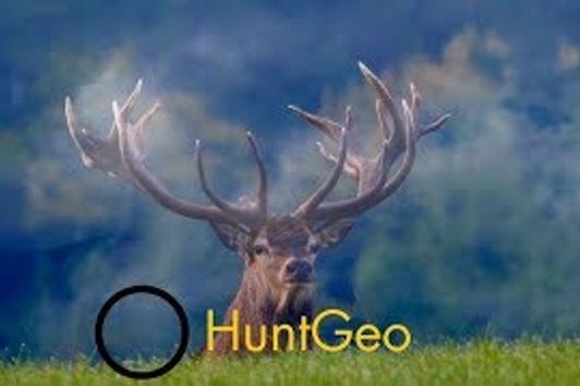Red stag hunt in Austria - Hirsch Jagd in Österreich
