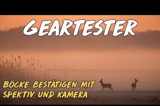 Geartester: Böcke bestätigen mit Spektiv und Kamera