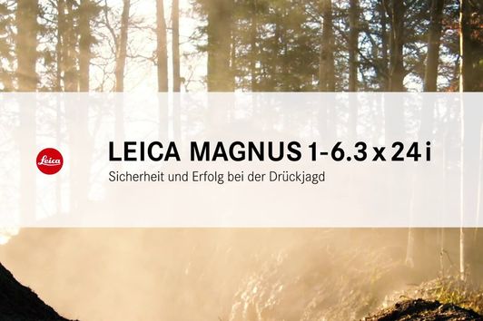 Magnus 1-6 3x24 i – Sicherheit und Erfolg bei der Drückjagd