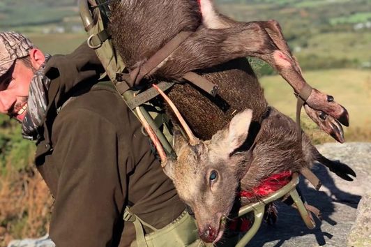 Trailer XDays Irland  Hunting Sika