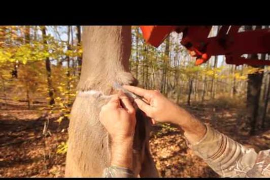 How To Skin A Deer