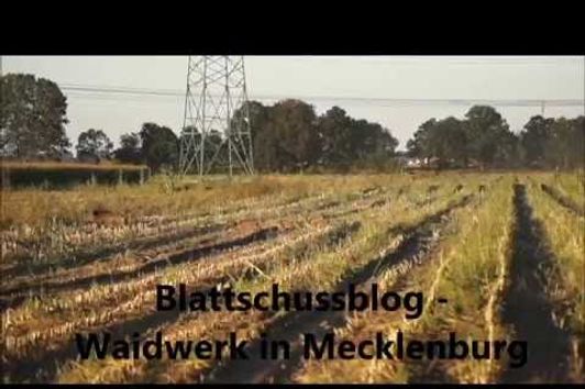 Jagd in Mecklenburg-Vorpommern Teil 2