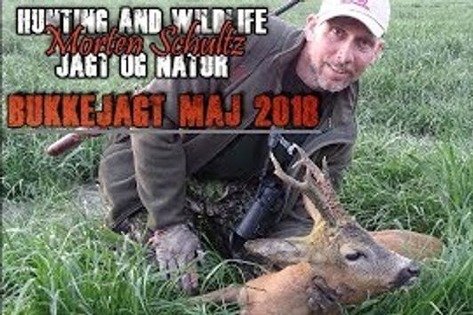 Bukkejagt Maj 2018/Roe buck hunting .223rem.