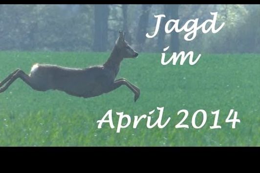 Jagd April 2014