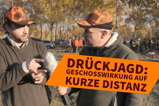 Drückjagd 2018: Was gilt es bei kurzen Schussentfernungen zu beachten?