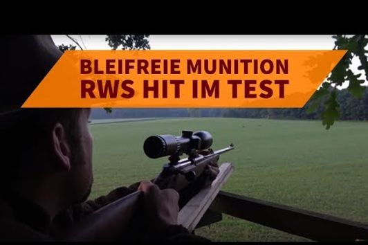 RWS HIT im Praxistest: Wie schlägt sich die bleifreie Jagdmunition auf Rehwild und Schwarzwild?
