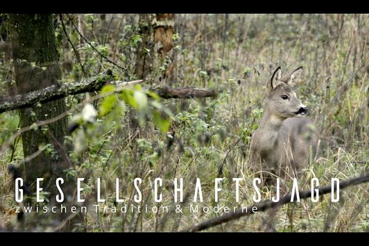 Neuzeitliche Betrachtungen zur Jagd - Die Gesellschaftsjagd - Zwischen Tradition und Moderne