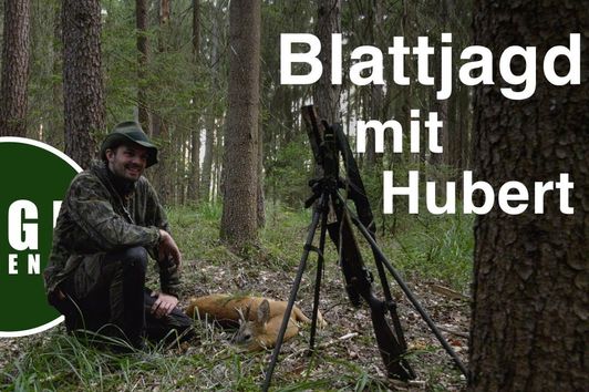 Blattjagd im Wald mit Hubert | JagdMomente mit Freunden | Folge 6