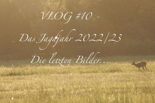 VLOG #10 - Das Jagdjahr 2022/23 - Die letzten Bilder... #jagen #hunting #Drückjagd