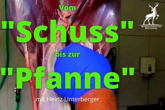 Vom Schuss bis zur Pfanne