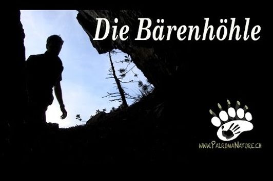 Die Bärenhöhle | The Bear Cave | Braunbär Schweiz