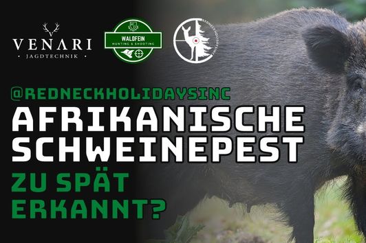 AFRIKANISCHE SCHWEINEPEST im Revier, ein Jäger packt aus! Der Kanzelschnack von Venari und Waldfein