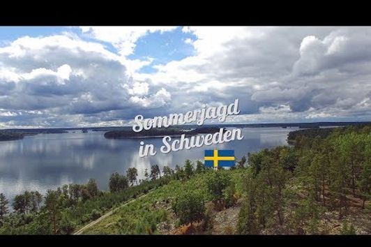 Sommerjagd in Schweden