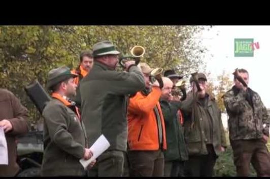 DJZ-TV: Große DJZ-Drückjagd in Bad Camberg 2012