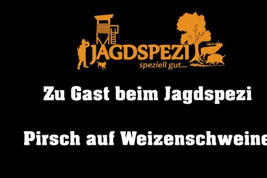 Weizenschweine // Jagd mit Wärmebild auf Wildschweine