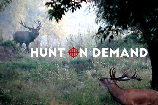 Hunt on Demand I Die besten Jagdvideos im Netz! Jetzt kostenlos testen! (Official Trailer 2020)