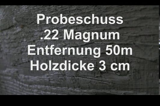 Probeschuss mit .22mag auf 50m