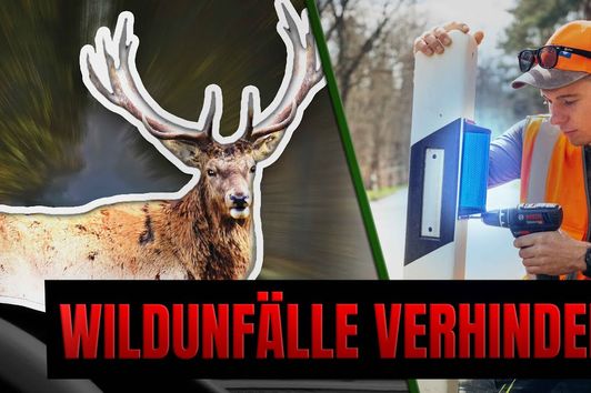 WILDUNFÄLLE verhindern - Jäger im Einsatz | Niklas on fire