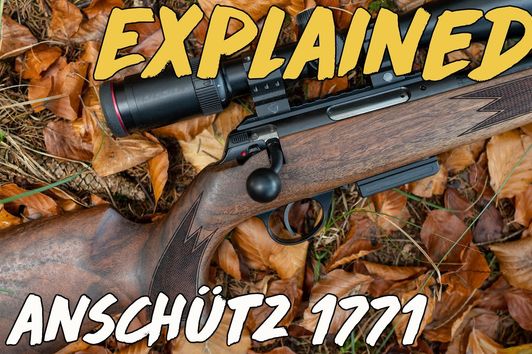 Explained - Anschütz 1771