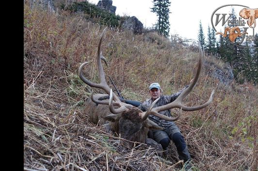 Jagd auf Steinbock und Maral in Kasachstan mit Westfalia Jagdreisen