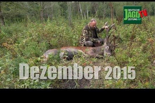 Kinder an die Jagd ranführen, Hirschjagd in Serbien, Schrotpatronenherstellung: DJZ-TV 12/2015