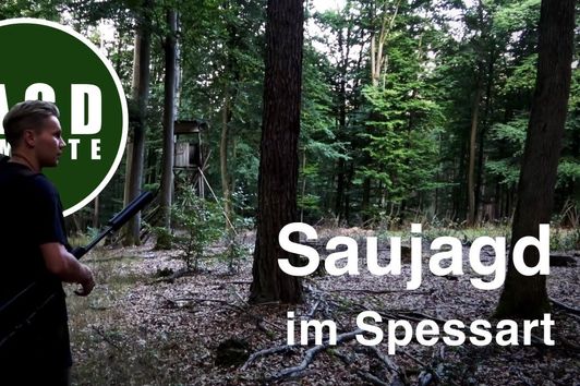 Saujagd im Spessart mit Stefan | JagdMomente mit Freunden | Folge 1