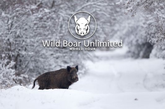 Teaser Wild Boar Unlimited