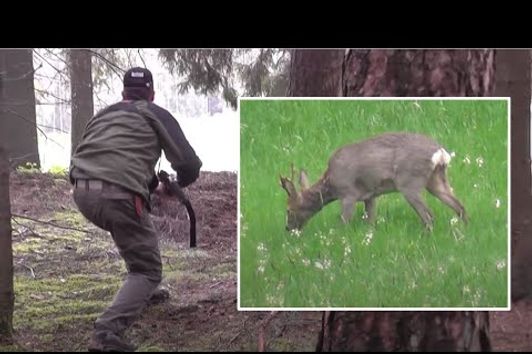 WILD Jaeger Roe Deer Hunting (Rehbockjagd), 1 May, Season 6