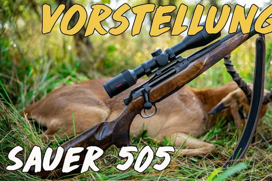 Vorstellung - Sauer 505