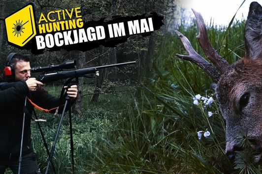 Bockjagd 2023 - Auf Ansitz und Pirschjagd mit Active Hunting