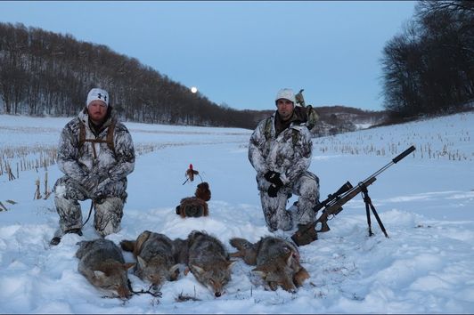 Coyote Hunting 5 Pack Amazing Footage "The Quad"