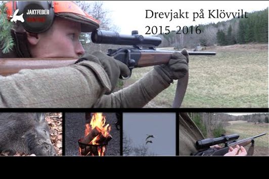 JAKTFEBER Drevjakt på Klövvilt 2015-2016